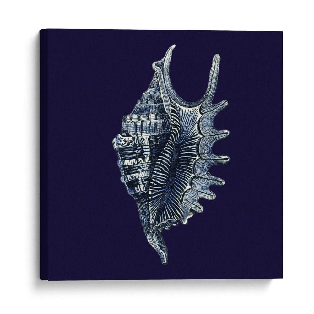 Shells Indigo Vi - Vision Studio | Cuadro decorativo de Canvas Lab
