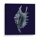 Shells Indigo Vi - Vision Studio | Cuadro decorativo de Canvas Lab