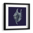 Shells Indigo Vi - Vision Studio | Cuadro decorativo de Canvas Lab