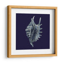 Shells Indigo Vi - Vision Studio | Cuadro decorativo de Canvas Lab