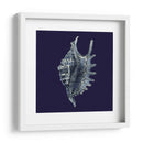 Shells Indigo Vi - Vision Studio | Cuadro decorativo de Canvas Lab