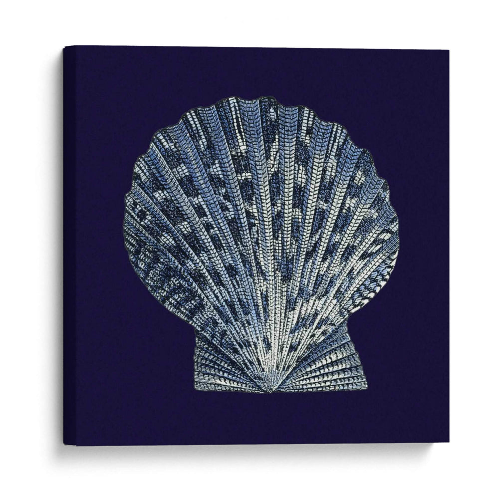 Shells Indigo Viii - Vision Studio | Cuadro decorativo de Canvas Lab