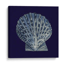 Shells Indigo Viii - Vision Studio | Cuadro decorativo de Canvas Lab