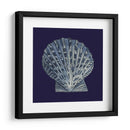 Shells Indigo Viii - Vision Studio | Cuadro decorativo de Canvas Lab