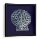Shells Indigo Viii - Vision Studio | Cuadro decorativo de Canvas Lab