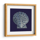 Shells Indigo Viii - Vision Studio | Cuadro decorativo de Canvas Lab