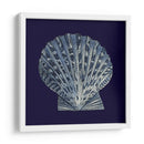 Shells Indigo Viii - Vision Studio | Cuadro decorativo de Canvas Lab