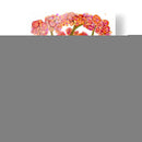 Fantasía De Otoño Ii - Cheryl Baynes | Cuadro decorativo de Canvas Lab