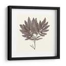 Colección De Algas I - Vision Studio | Cuadro decorativo de Canvas Lab