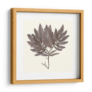 Colección De Algas I - Vision Studio | Cuadro decorativo de Canvas Lab