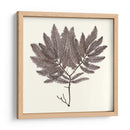 Colección De Algas I - Vision Studio | Cuadro decorativo de Canvas Lab