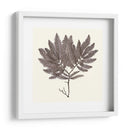 Colección De Algas I - Vision Studio | Cuadro decorativo de Canvas Lab