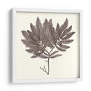 Colección De Algas I - Vision Studio | Cuadro decorativo de Canvas Lab