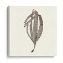 Colección De Algas V - Vision Studio | Cuadro decorativo de Canvas Lab