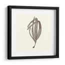 Colección De Algas V - Vision Studio | Cuadro decorativo de Canvas Lab