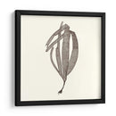 Colección De Algas V - Vision Studio | Cuadro decorativo de Canvas Lab