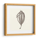 Colección De Algas V - Vision Studio | Cuadro decorativo de Canvas Lab