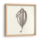 Colección De Algas V - Vision Studio | Cuadro decorativo de Canvas Lab