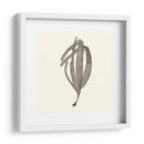 Colección De Algas V - Vision Studio | Cuadro decorativo de Canvas Lab