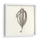 Colección De Algas V - Vision Studio | Cuadro decorativo de Canvas Lab