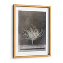 Forma Del Desierto Vi - Elena Ray | Cuadro decorativo de Canvas Lab