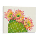 Blossoms Del Desierto I - Tim OToole | Cuadro decorativo de Canvas Lab