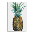 Piña De Acuarela I - Grace Popp | Cuadro decorativo de Canvas Lab
