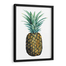 Piña De Acuarela I - Grace Popp | Cuadro decorativo de Canvas Lab