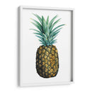 Piña De Acuarela I - Grace Popp | Cuadro decorativo de Canvas Lab