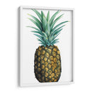 Piña De Acuarela I - Grace Popp | Cuadro decorativo de Canvas Lab