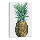Piña De Acuarela Ii - Grace Popp | Cuadro decorativo de Canvas Lab
