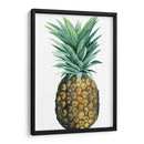 Piña De Acuarela Ii - Grace Popp | Cuadro decorativo de Canvas Lab