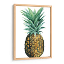 Piña De Acuarela Ii - Grace Popp | Cuadro decorativo de Canvas Lab