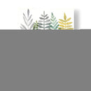 Acuarela Botánica Ii - Megan Meagher | Cuadro decorativo de Canvas Lab