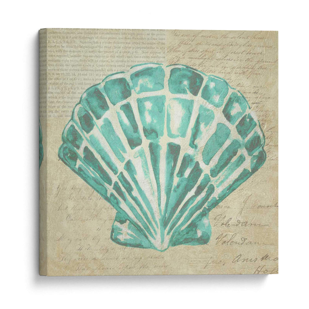 Seafoam Shell Iii - Chariklia Zarris | Cuadro decorativo de Canvas Lab