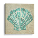 Seafoam Shell Iii - Chariklia Zarris | Cuadro decorativo de Canvas Lab