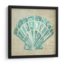 Seafoam Shell Iii - Chariklia Zarris | Cuadro decorativo de Canvas Lab