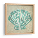 Seafoam Shell Iii - Chariklia Zarris | Cuadro decorativo de Canvas Lab