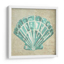 Seafoam Shell Iii - Chariklia Zarris | Cuadro decorativo de Canvas Lab