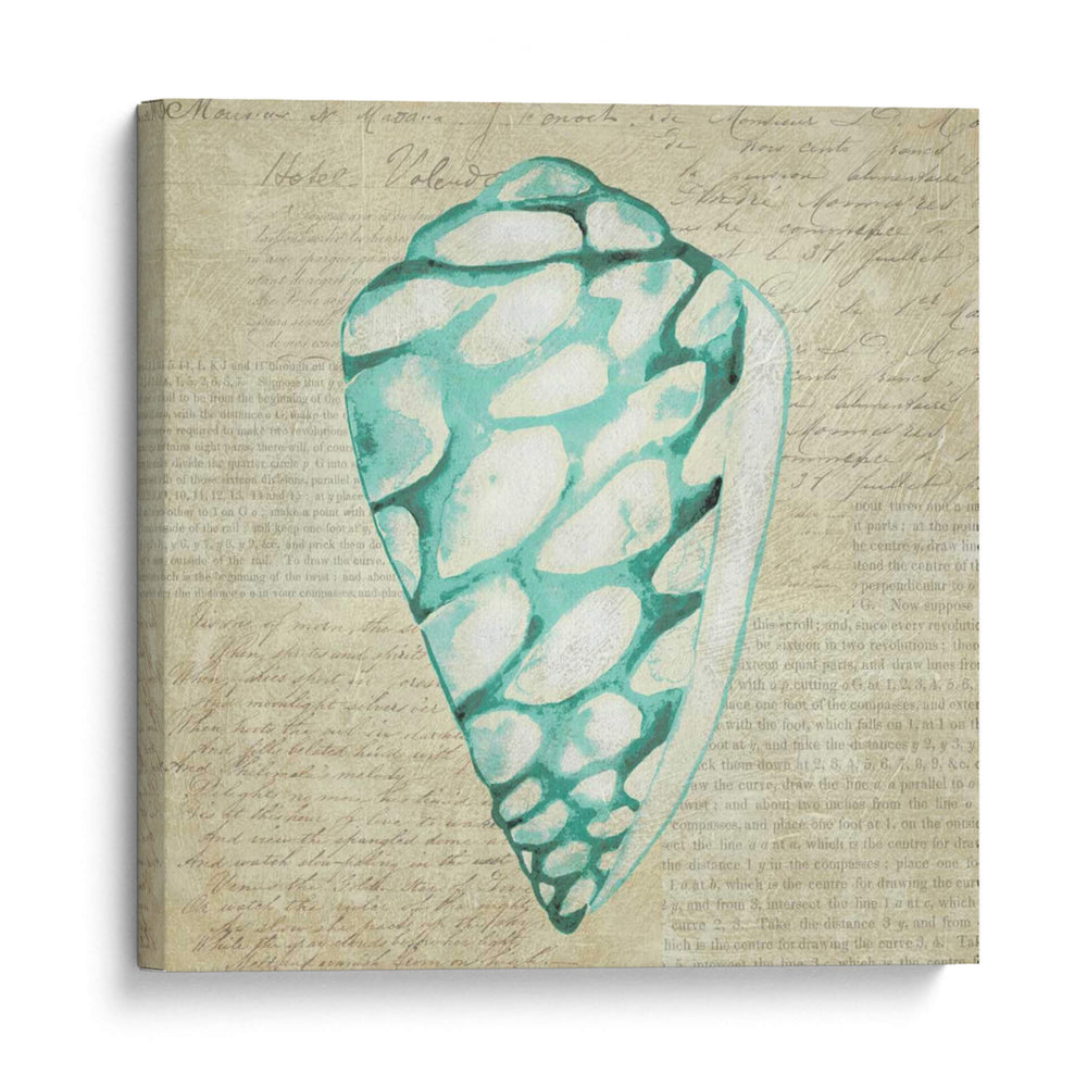 Seafoam Shell Iv - Chariklia Zarris | Cuadro decorativo de Canvas Lab