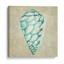 Seafoam Shell Iv - Chariklia Zarris | Cuadro decorativo de Canvas Lab