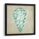 Seafoam Shell Iv - Chariklia Zarris | Cuadro decorativo de Canvas Lab