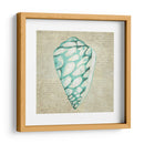 Seafoam Shell Iv - Chariklia Zarris | Cuadro decorativo de Canvas Lab