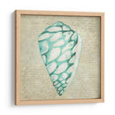 Seafoam Shell Iv - Chariklia Zarris | Cuadro decorativo de Canvas Lab