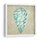 Seafoam Shell Iv - Chariklia Zarris | Cuadro decorativo de Canvas Lab
