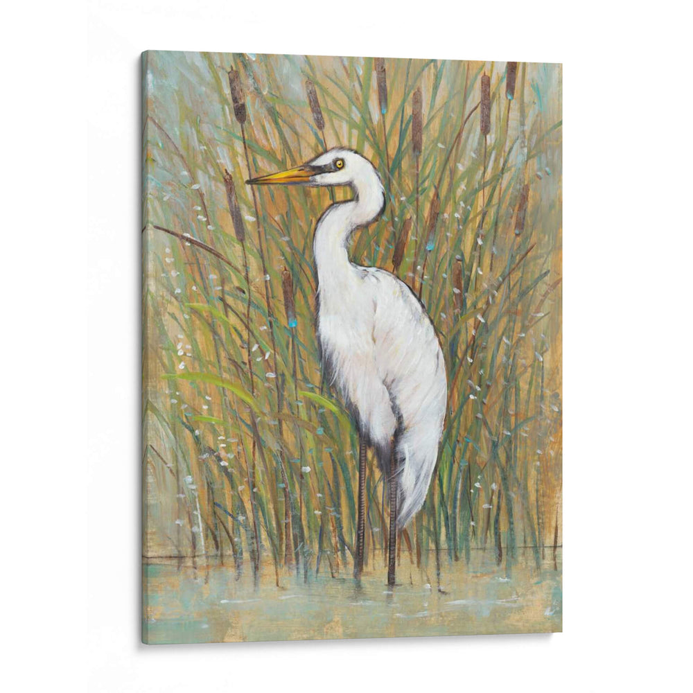 Egret Blanco I - Tim OToole | Cuadro decorativo de Canvas Lab