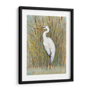 Egret Blanco I - Tim OToole | Cuadro decorativo de Canvas Lab