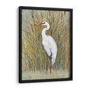 Egret Blanco I - Tim OToole | Cuadro decorativo de Canvas Lab