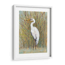 Egret Blanco I - Tim OToole | Cuadro decorativo de Canvas Lab
