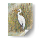 Egret Blanco I - Tim OToole | Cuadro decorativo de Canvas Lab